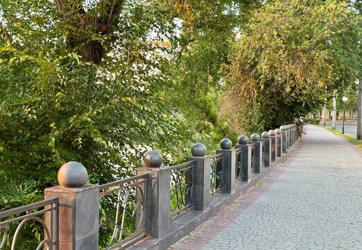 a row of trees