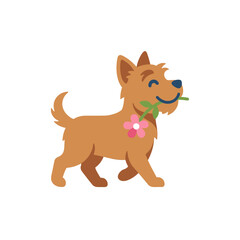 Obraz premium Cute brown dog walking with a flower in its mouth.