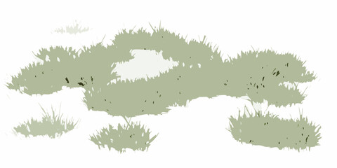 natural scattered grass clusters with varying density on white background vegetation plants botanical green transparent vector © Asit