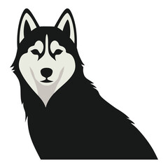 Siberian Husky dog portrait in black and white colors  isolated on transparent background icon © designernur
