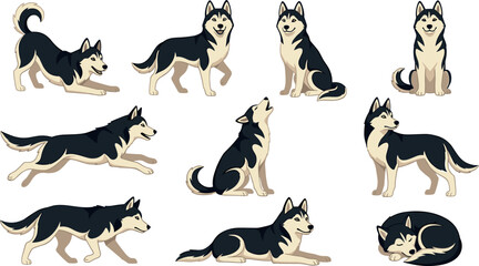 Siberian Husky Dog Vector Set with Cute Cartoon Character in Various Poses Including Running, Sitting, Howling, Sleeping, and Playing Illustrations © Rtazmina