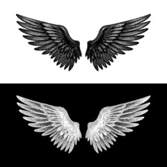 Obraz premium Black and white angel wings vector illustration set