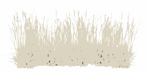 dry meadow grass with golden beige tones vector illustration natural grassland vegetation landscape outdoor ecology seasonal © Bijoy