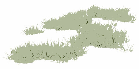 scattered grass clusters on white background vegetation plants botanical natural green transparent vector illustration pattern design © Bijoy