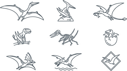 Pterodactyl Dinosaur Line Art Collection Featuring Flying Pterosaur Hatchling Fossil Prehistoric Reptile and Outline Illustrations for Educational Vector Design © MstSuborna
