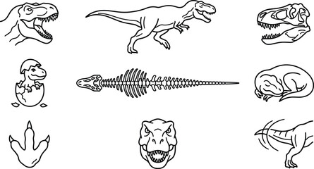 Tyrannosaurus Rex Fossil Line Art Collection Featuring Dinosaur Skull Skeleton Footprint Egg Hatchling and Prehistoric Outline Illustrations for Educational Design © MstSuborna