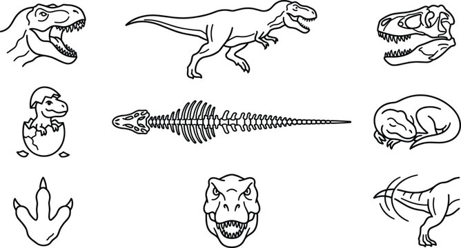 Tyrannosaurus Rex Fossil Line Art Collection Featuring Dinosaur Skull Skeleton Footprint Egg Hatchling and Prehistoric Outline Illustrations for Educational Design