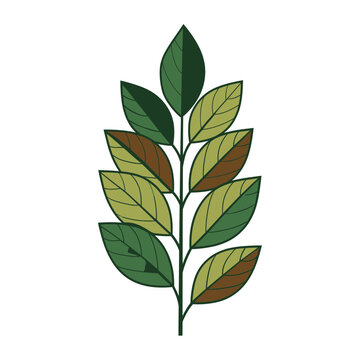 Flat illustration of a leaf branch with green and brown leaves