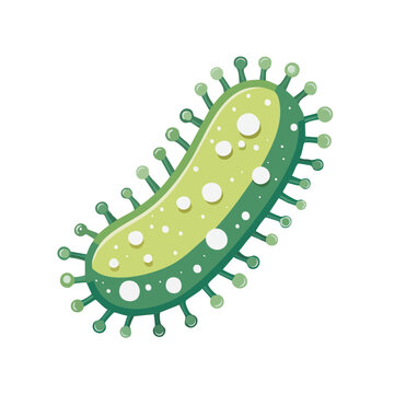 Green Bacteria Vector Illustration