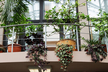 Lush greenery cascades from balcony planters © gelog67