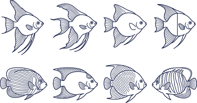 Tropical Aquarium Fish Line Art Collection Featuring Angelfish Butterflyfish and Marine Ornamental Species Outline Illustrations for Ocean Wildlife and Aquatic Design