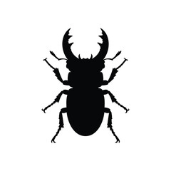 Fototapeta premium Stag beetle silhouette vector flat illustration design.