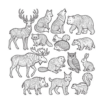 Intricate forest animals coloring book vector set, 15 woodland wildlife line art illustrations, black and white zentangle animal icons for adult therapy
