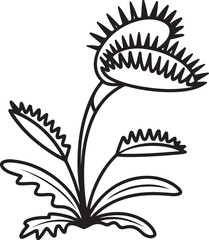 Venus flytrap plant catching prey in nature illustration © Masud