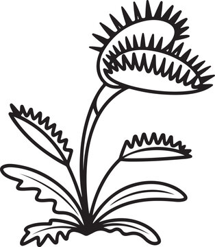 Venus flytrap plant catching prey in nature illustration