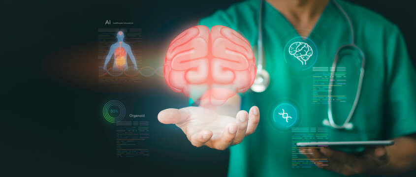 Medical professional using futuristic AI digital technology analyzing virtual organoid structures developed from stem cells modern healthcare innovation, patient treatment, future medical science.