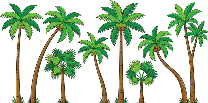 Tropical green palm trees and coconut palms vector icon collection