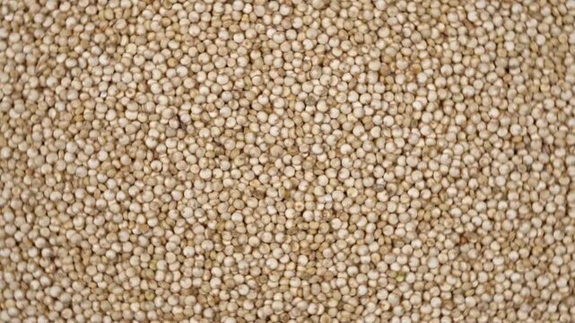 Rotating top down view of uncooked white quinoa grains texture