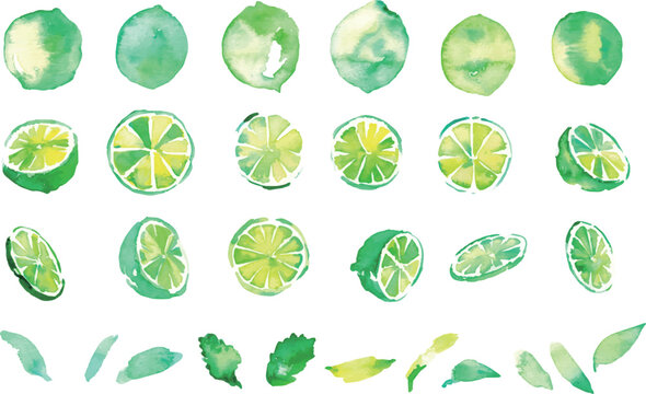 水彩風ライムのフレームセット 夏向け背景素材コレクションWatercolor Lime Frame Set Summer Fresh Citrus Background Collection