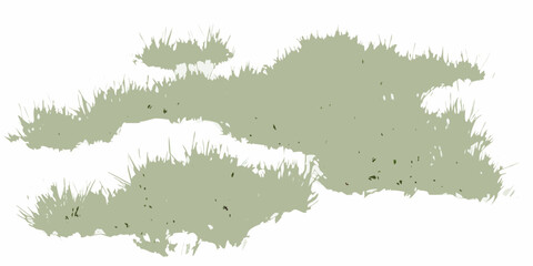 natural scattered grass clusters with varying density on white background vegetation botanical plant flora green transparent © Debashis