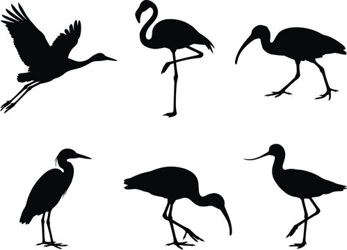 Exotic wading birds silhouette collection featuring flamingo heron stork and ibis vector graphic design elements