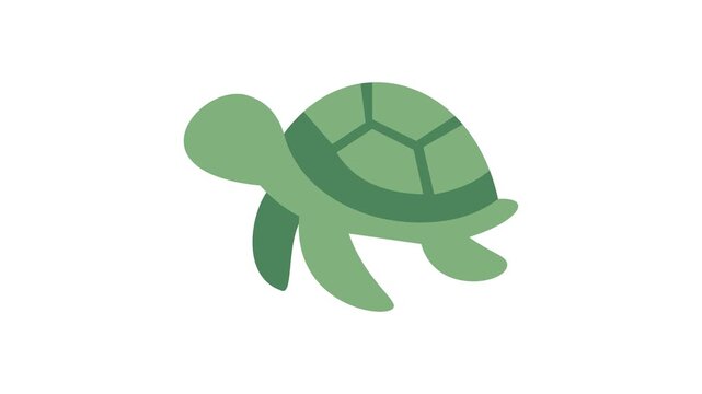 Cute Animated Green Sea Turtle Flat Vector Marine Animal Icon Motion Graphic