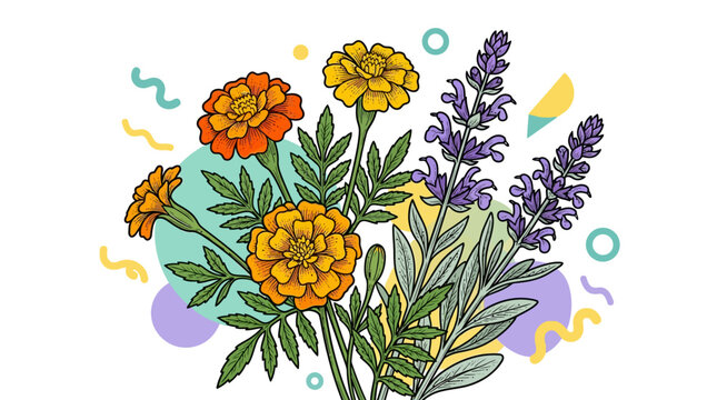 Botanical Illustration of Orange Marigolds and Purple Lavender Flowers with Abstract Geometric Background
