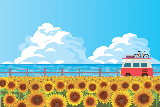 夏のひまわり畑風景