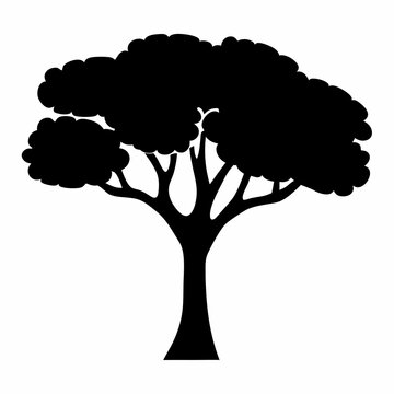Silhouette of a large tree standing alone - A striking black silhouette of a tall, full tree with a thick trunk and wide branches, standing bold and solitary.