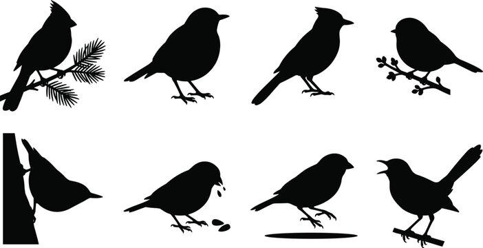 Songbirds and backyard wildlife silhouette vector icons set featuring cardinal robin blue jay sparrow nuthatch and finch