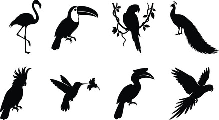 Tropical birds and exotic wildlife silhouette vector icons set featuring flamingo, toucan, parrot, peacock, cockatoo, hummingbird, and hornbill © MstRehna