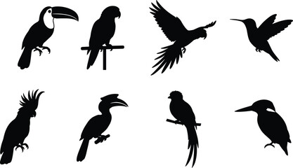 Tropical exotic birds black silhouette icon set featuring toucan parrot macaw hummingbird cockatoo hornbill quetzal and kingfisher in image_155a64.png © MstRehna