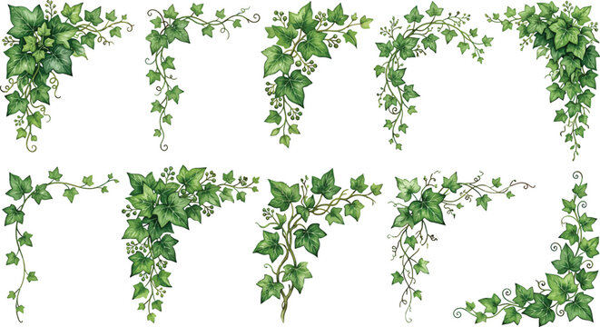 Watercolor ivy corner frames set with green climbing plant foliage for decorative border and wedding invitation design