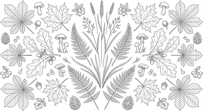 A detailed illustration of various leaves, mushrooms, berries, and plants in a symmetrical pattern on a white background for coloring book pages or nature designs.