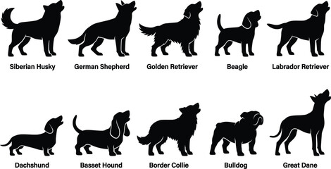Set of black silhouettes of different dog breeds on transparent background. © jim's Cafe