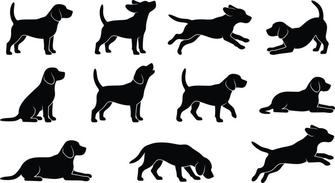 Black silhouettes of beagle dog in various poses and actions.