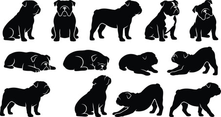 English bulldog vector silhouettes showing various canine behaviors and body language in black flat style set. © jim's Cafe