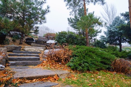 Rustic stone steps winding up a park hill, bordered by green pines, juniper bushes, and a layer of dry brown leaves in the mist