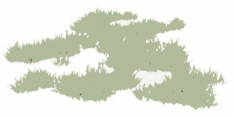 natural scattered grass clusters with varying density on white background vegetation botanical plant growth pattern texture © Rina