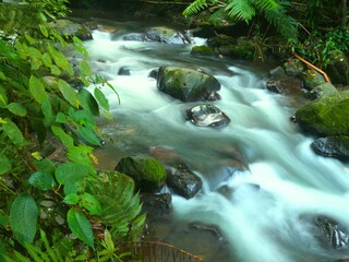 river flows in the forest © Jacky