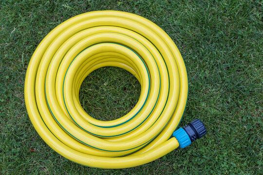 Top View of Coiled Yellow Garden Hose on Lawn