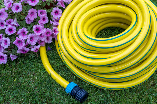 Top View of Yellow Garden Hose with Pink Garden Flowers
