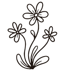 Obraz premium Flowering sea anemone marine organism underwater line art icon 