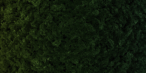 Fototapeta premium Dark emerald green abstract background with intricate organic flowing lines creating complex liquid smoke or marble texture.