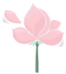 Fototapeta premium Minimalist Pink Lotus Flower with Falling Petals-Elegant Botanical Illustration