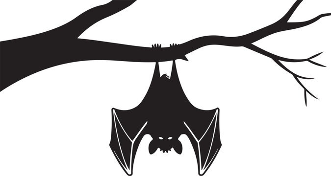Hanging Bat Silhouette 