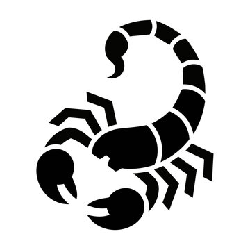 Minimalist silhouette of a stylized coiled scorpion with bold flat shapes and clean edges isolated on white background symbol of desert wildlife concept