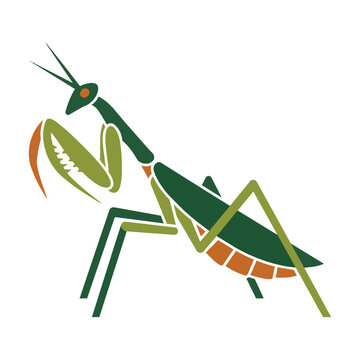 Minimalist praying mantis side profile in a flat geometric style with clean bold color blocks isolated on a white background, insect nature concept