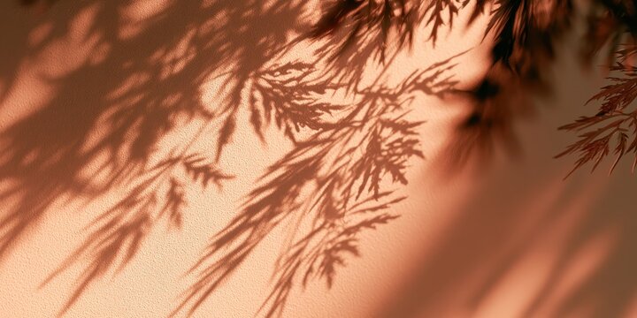 Shadow of delicate leaves on a textured terracotta wall background minimalist aesthetic with soft natural sunlight and shadows for product presentation