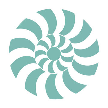 Stylized nautilus shell with elegant spiral curves in pastel teal and off-white on a white background nature design concept